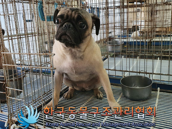 한국동물구조관리협회_411309202300402
